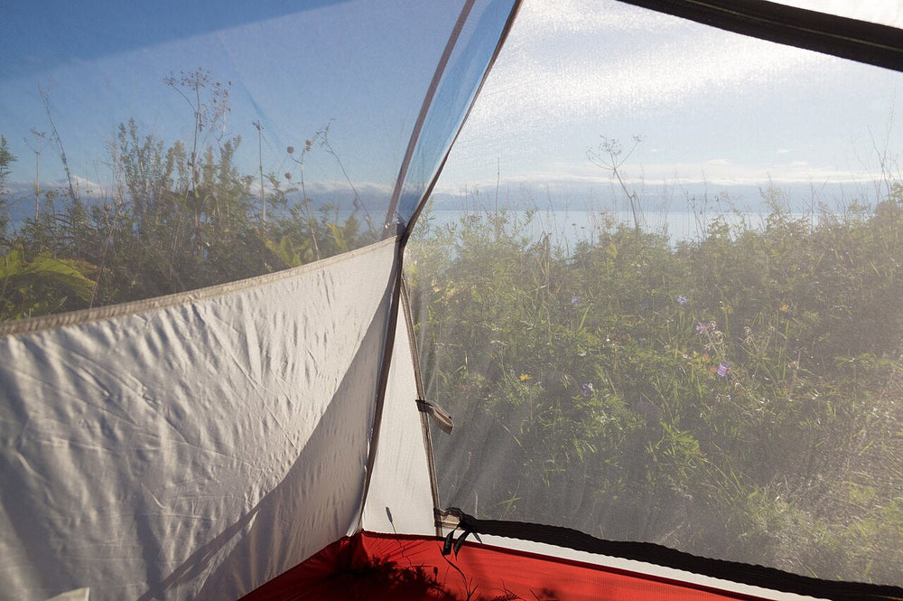 Inside a tent, showing the sewn-in floor and mesh walls.