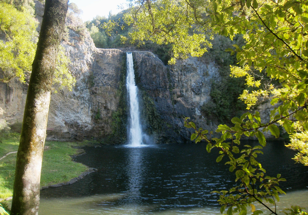 Hūnua Falls dropping over a rock face into the pool on the Wairoa River.