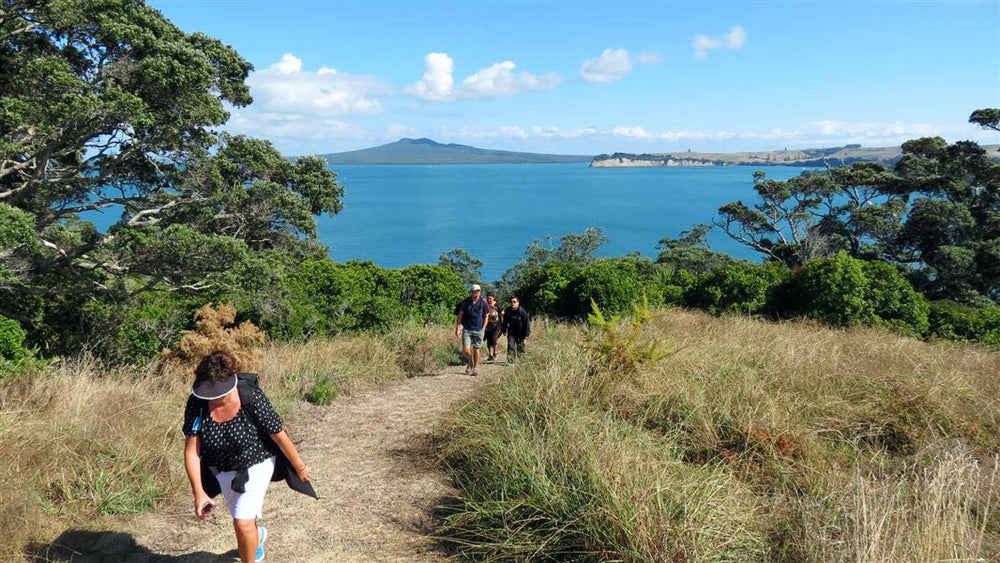Walkers on a grass track above the sea on Motuihe Island.