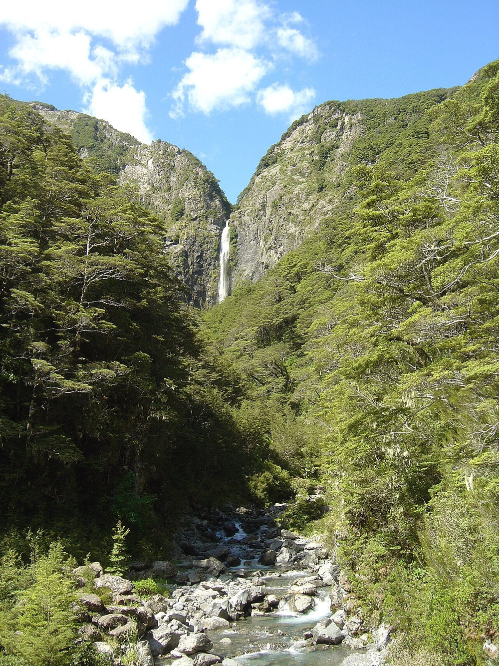 Devils Punchbowl waterfall above a forested gorge at Arthur’s Pass.