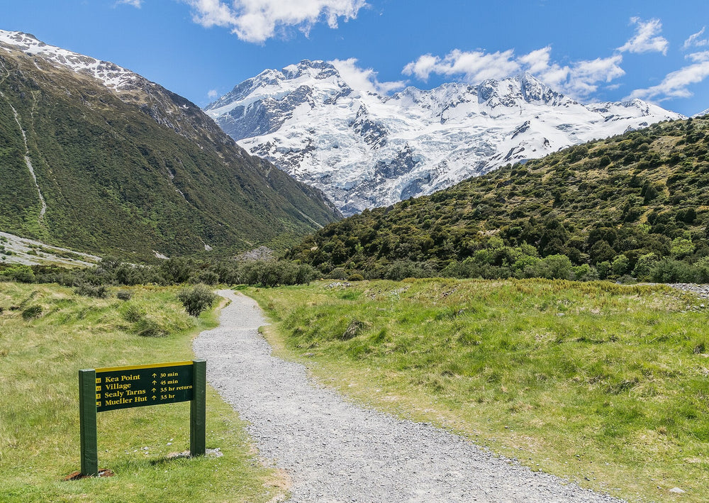 Kea Point Track through alpine grassland beneath snow-covered mountains.