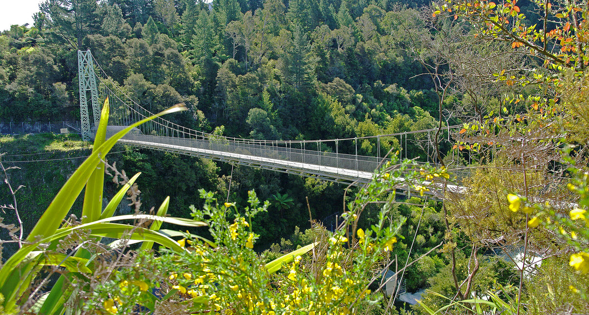 Arapuni Swingbridge seen from the approach path above the Waikato River.