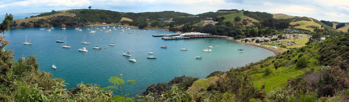 Matiatia Bay and its ferry terminal on Waiheke Island.