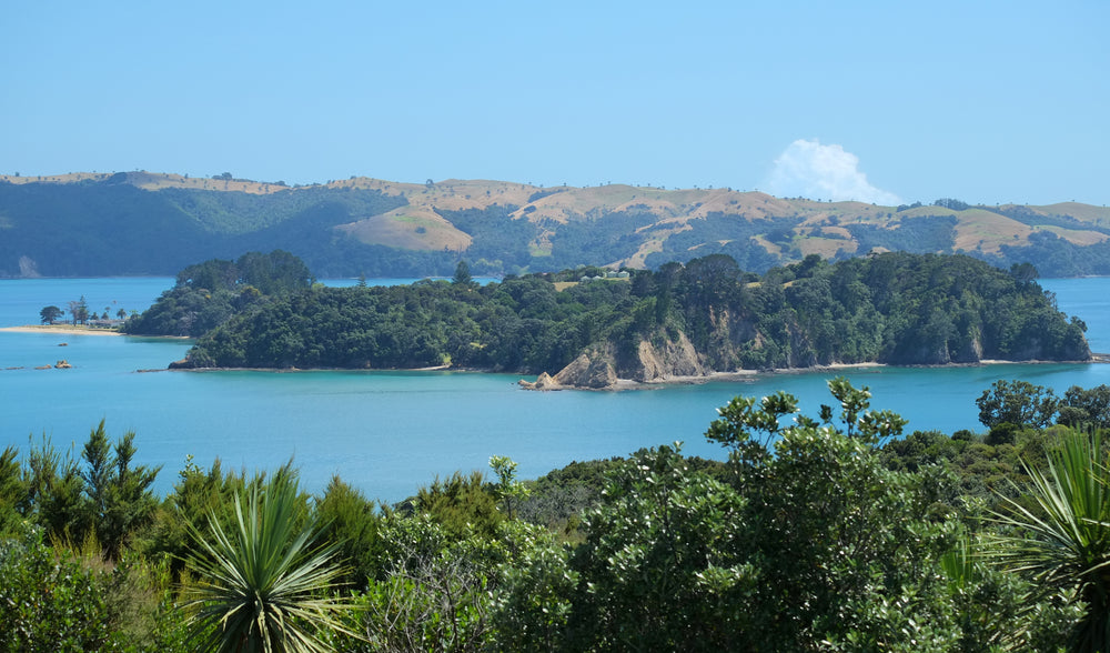 Looking from Rotoroa Island towards Pakatoa Island.