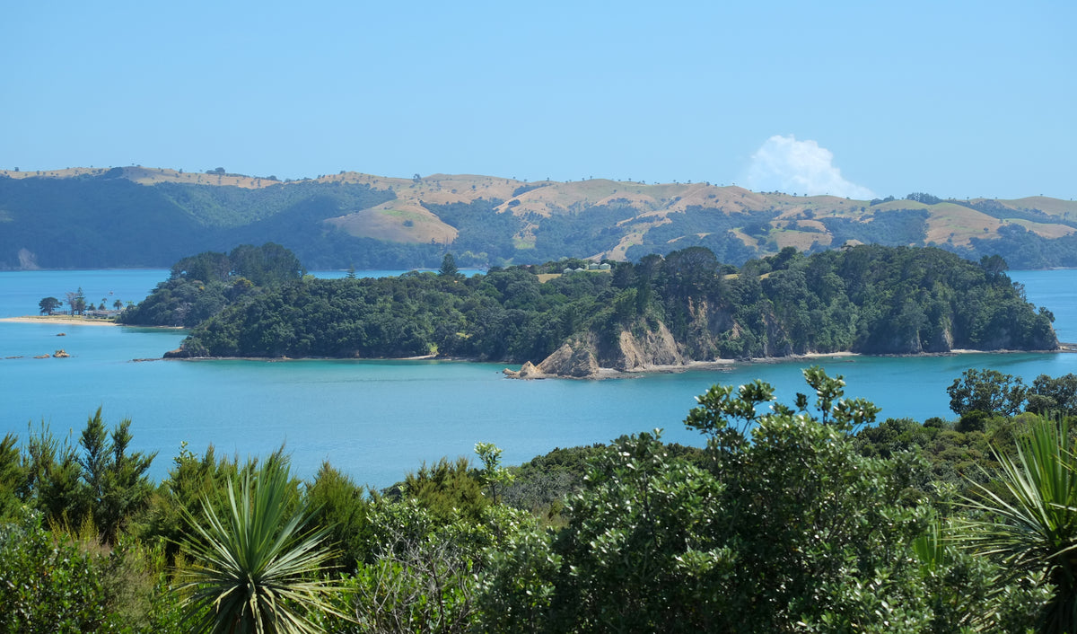 Looking from Rotoroa Island towards Pakatoa Island.