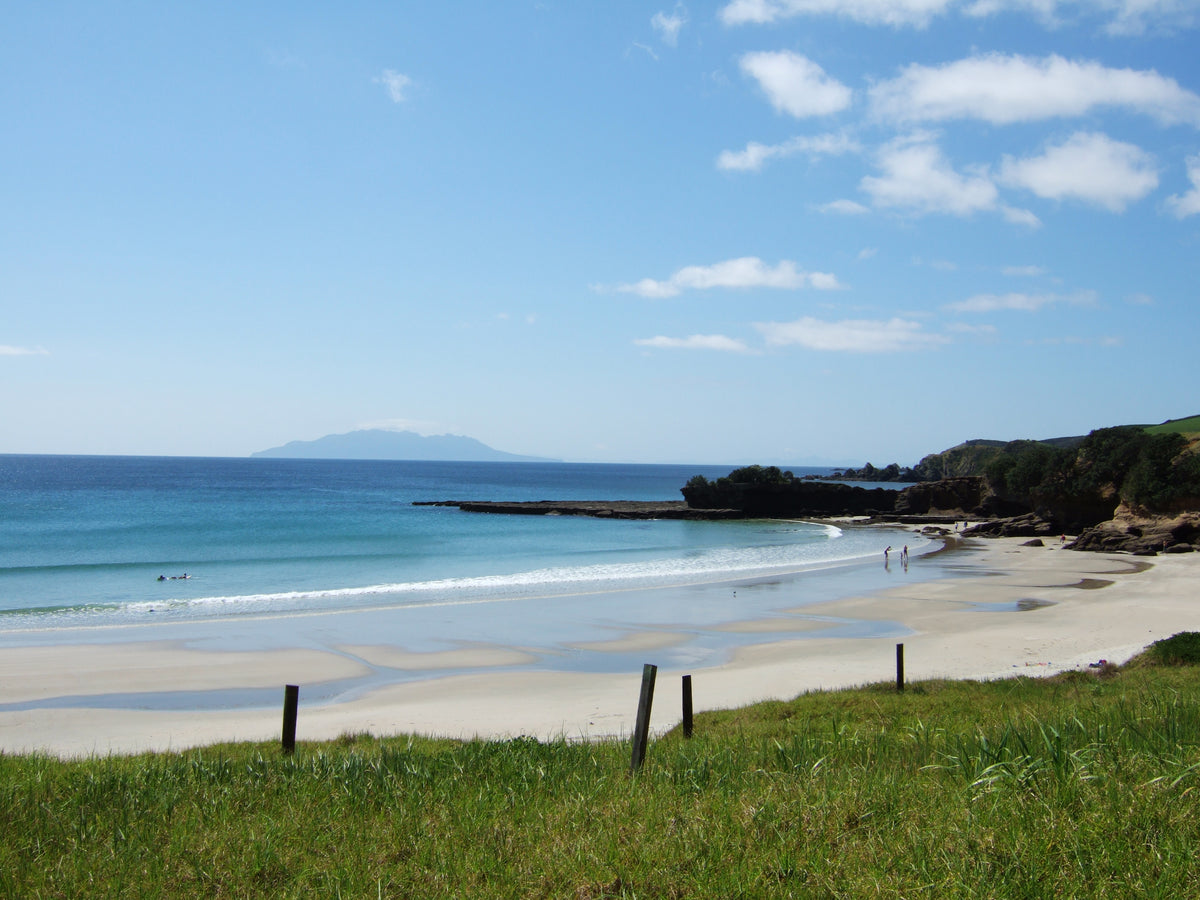 Sand and turquoise water at Tāwharanui Regional Park.