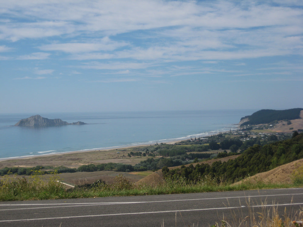 Waimārama Beach and the coast viewed from above the township.