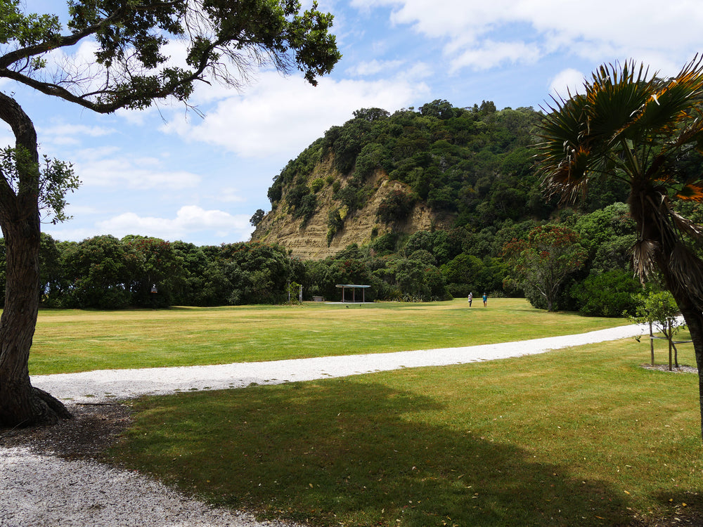 Grassland and wooded cliffs at Wenderholm Regional Park.