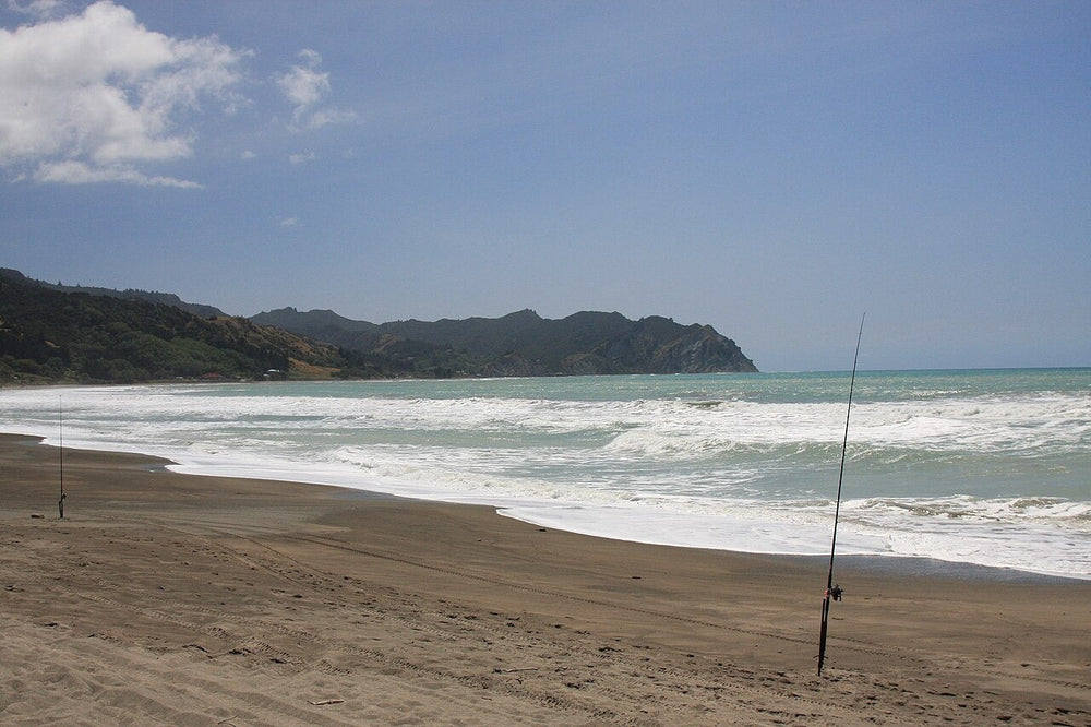 Surfcasting rods set up on the beach at Tokomaru Bay