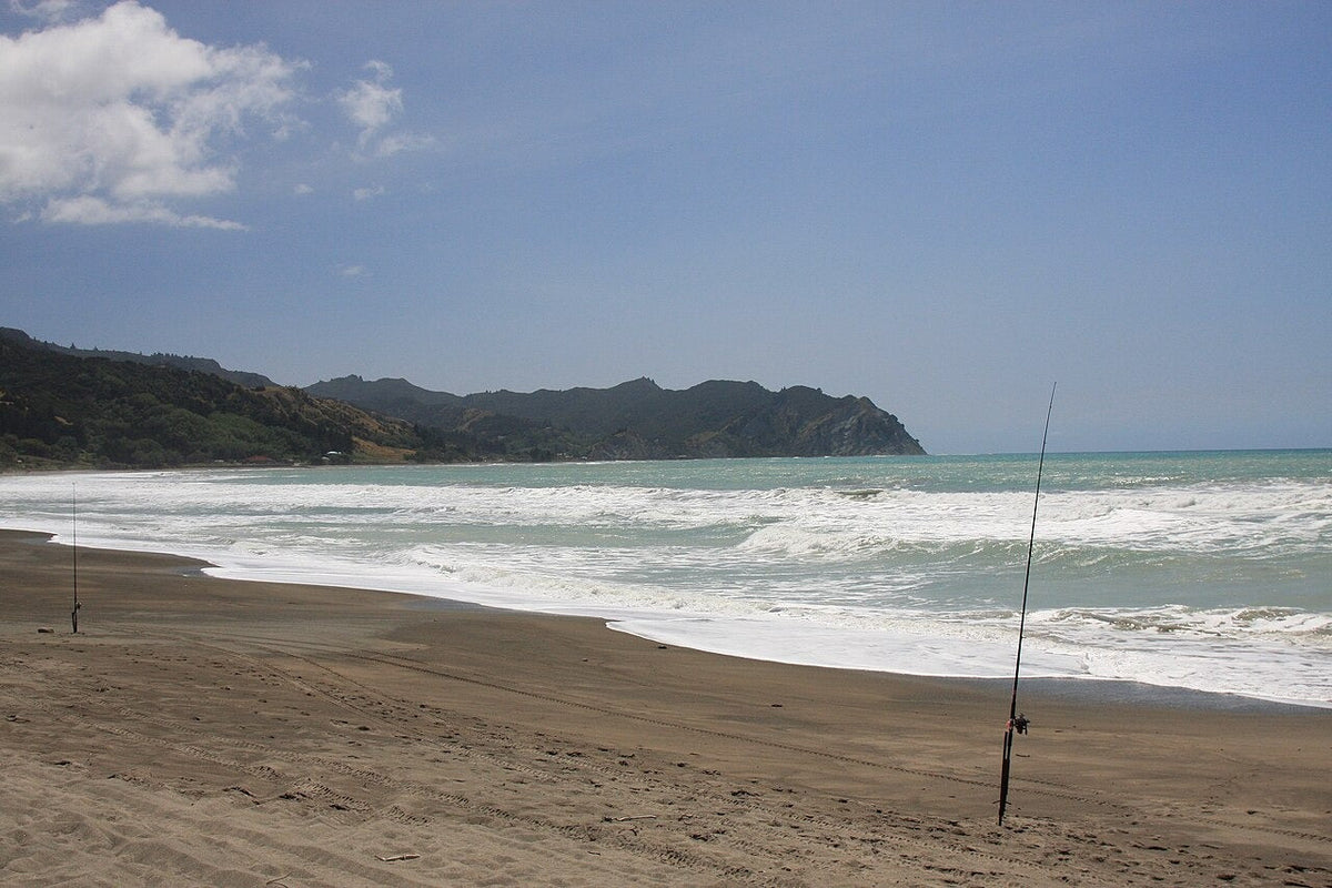 Surfcasting rods set up on the beach at Tokomaru Bay