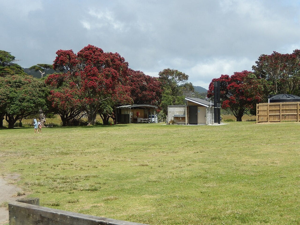 Grass and campsite facilities at Medlands Beach Campsite