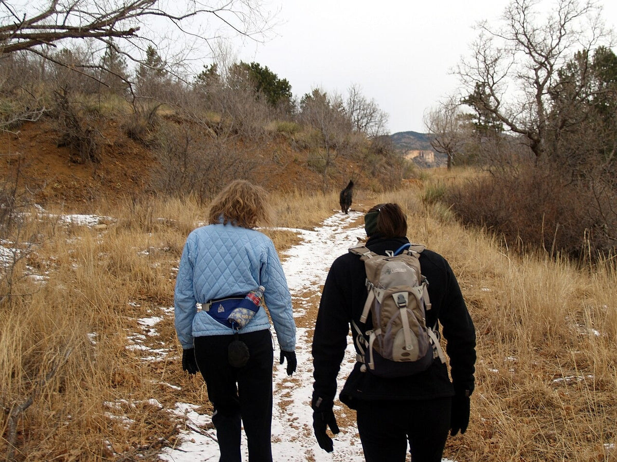 Dog accompanying walkers on an outdoor trail