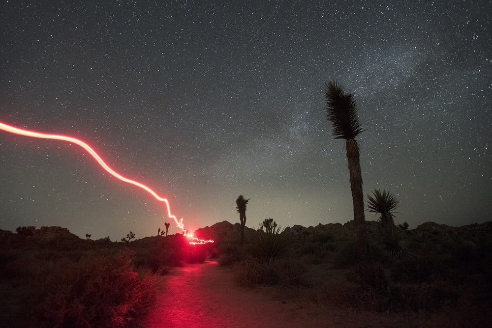 A hiker's headtorch illuminating a trail at night in Joshua Tree National Park.