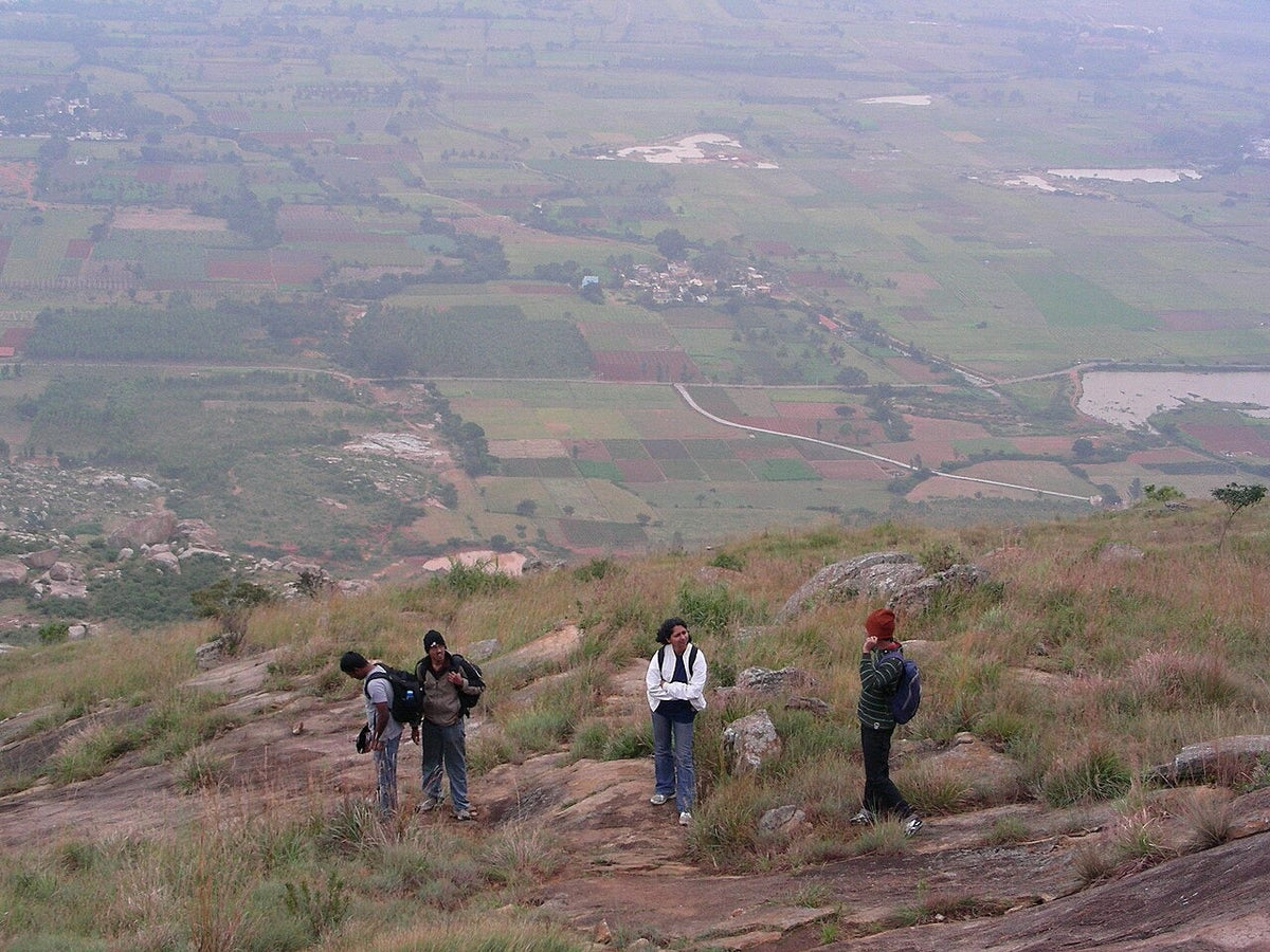 Group of hikers taking a rest on an open hillside