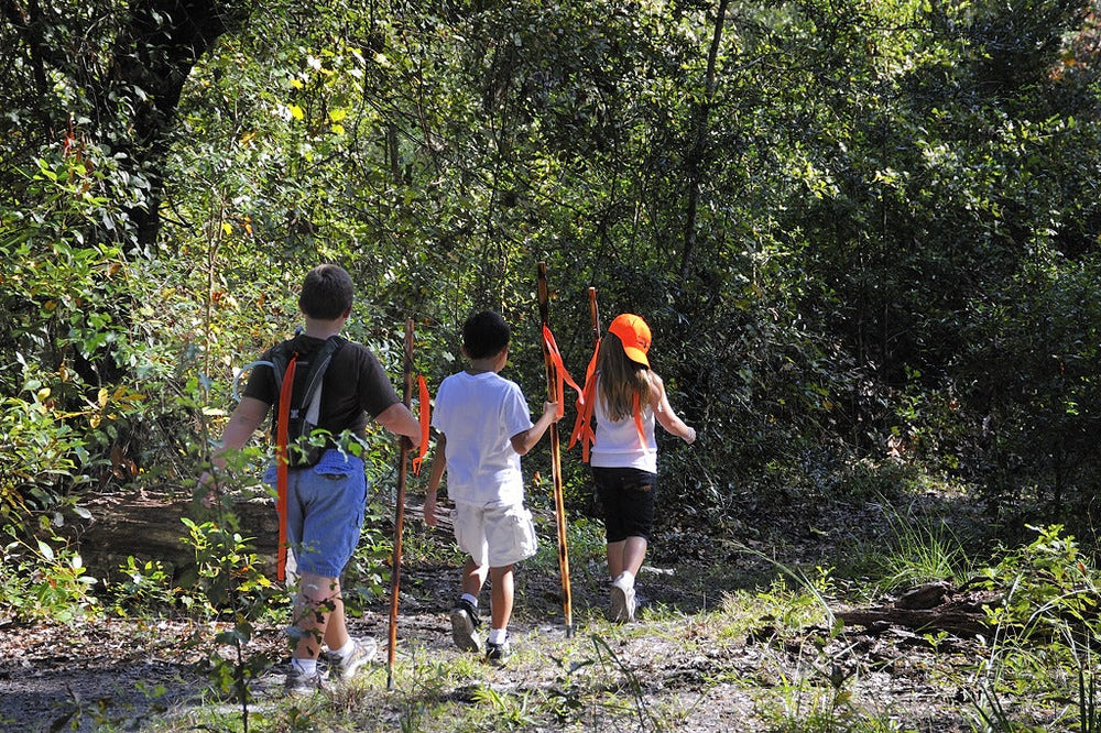 Children walking together on a forest trail