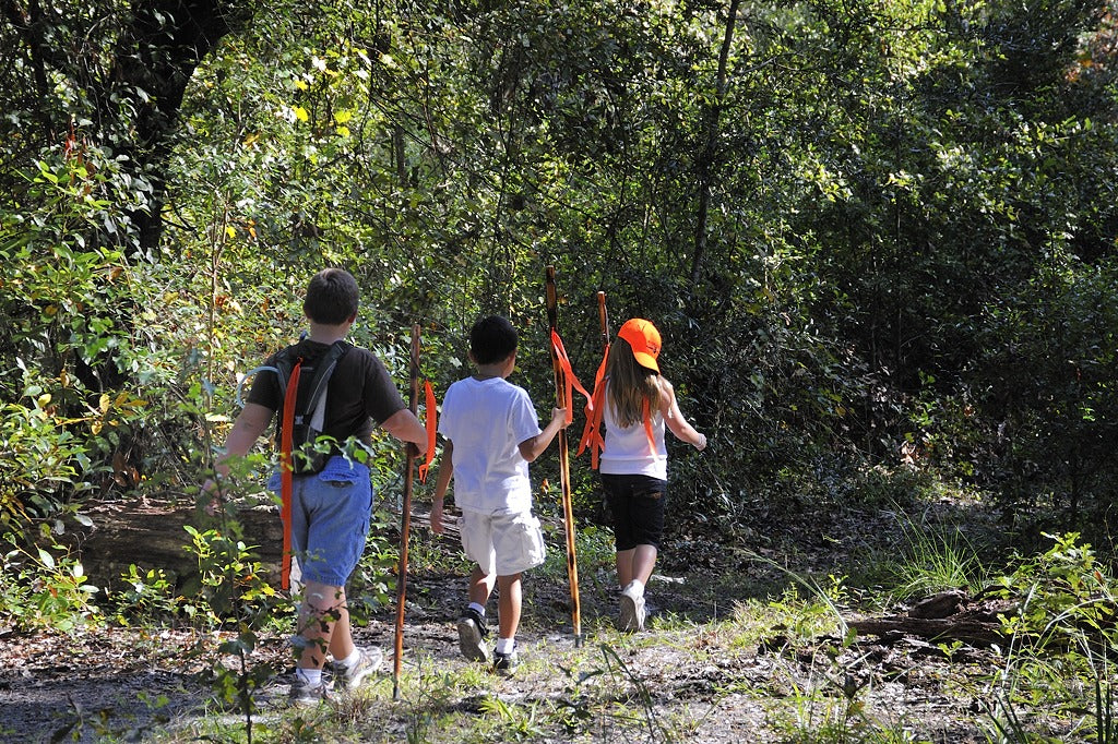 Children walking together on a forest trail