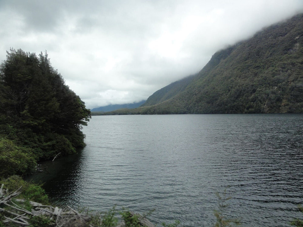 Lake Gunn and forested mountains beneath cloud in Fiordland.