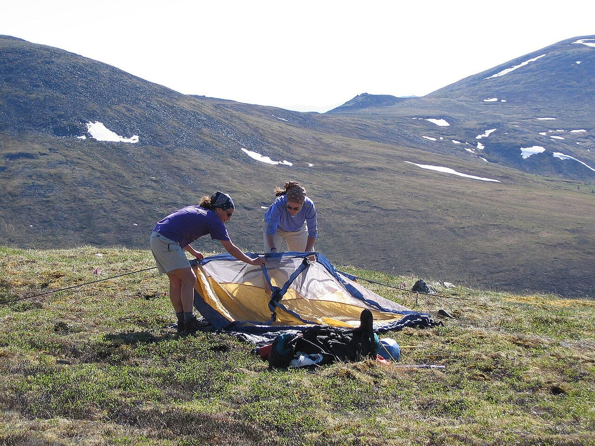Walkers assembling a tent on open ground