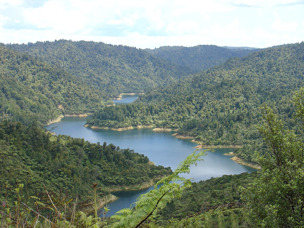 Mangatangi Reservoir surrounded by forest in the Hūnua Ranges.