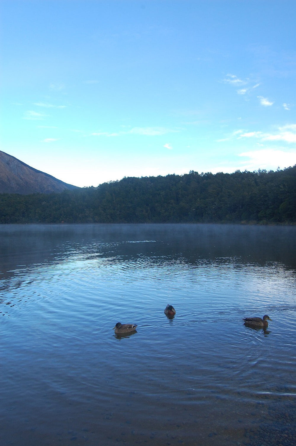 Lake Rotoiti viewed from Kerr Bay in St Arnaud.