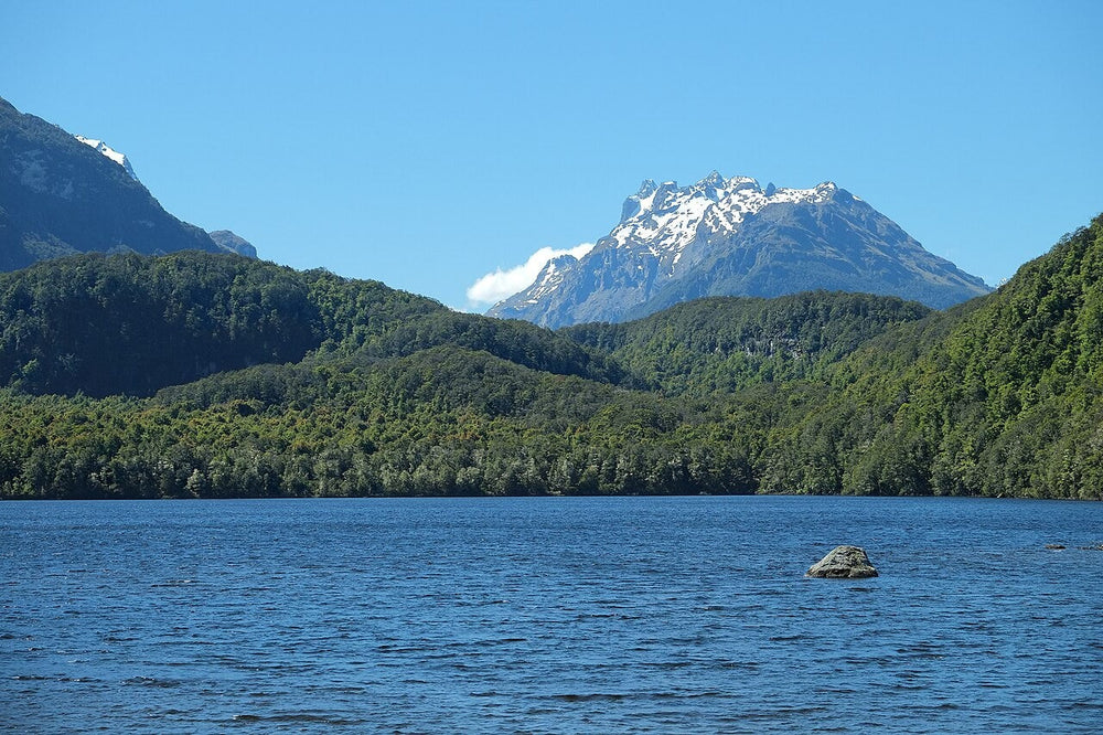 Lake Sylvan with forest and the Cosmos Peaks beyond.