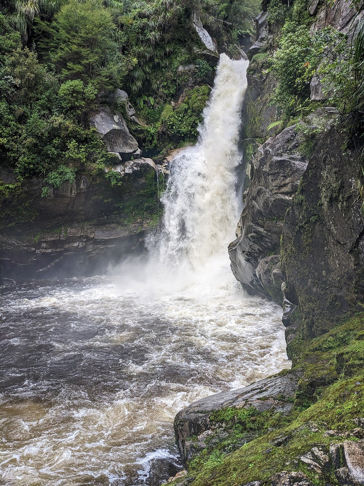 Wainui Falls flowing through a forested gorge in Golden Bay.