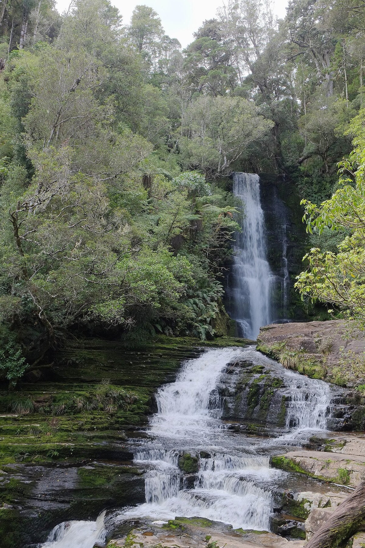 McLean Falls and its lower cascade surrounded by Catlins forest.