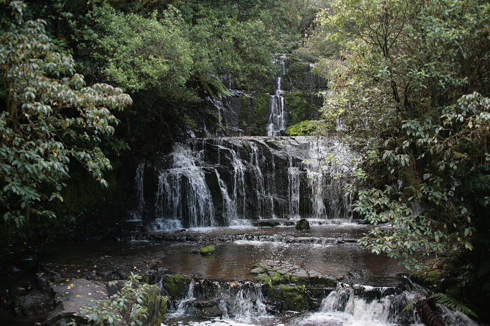 Pūrākaunui Falls cascading over three tiers in Catlins forest.