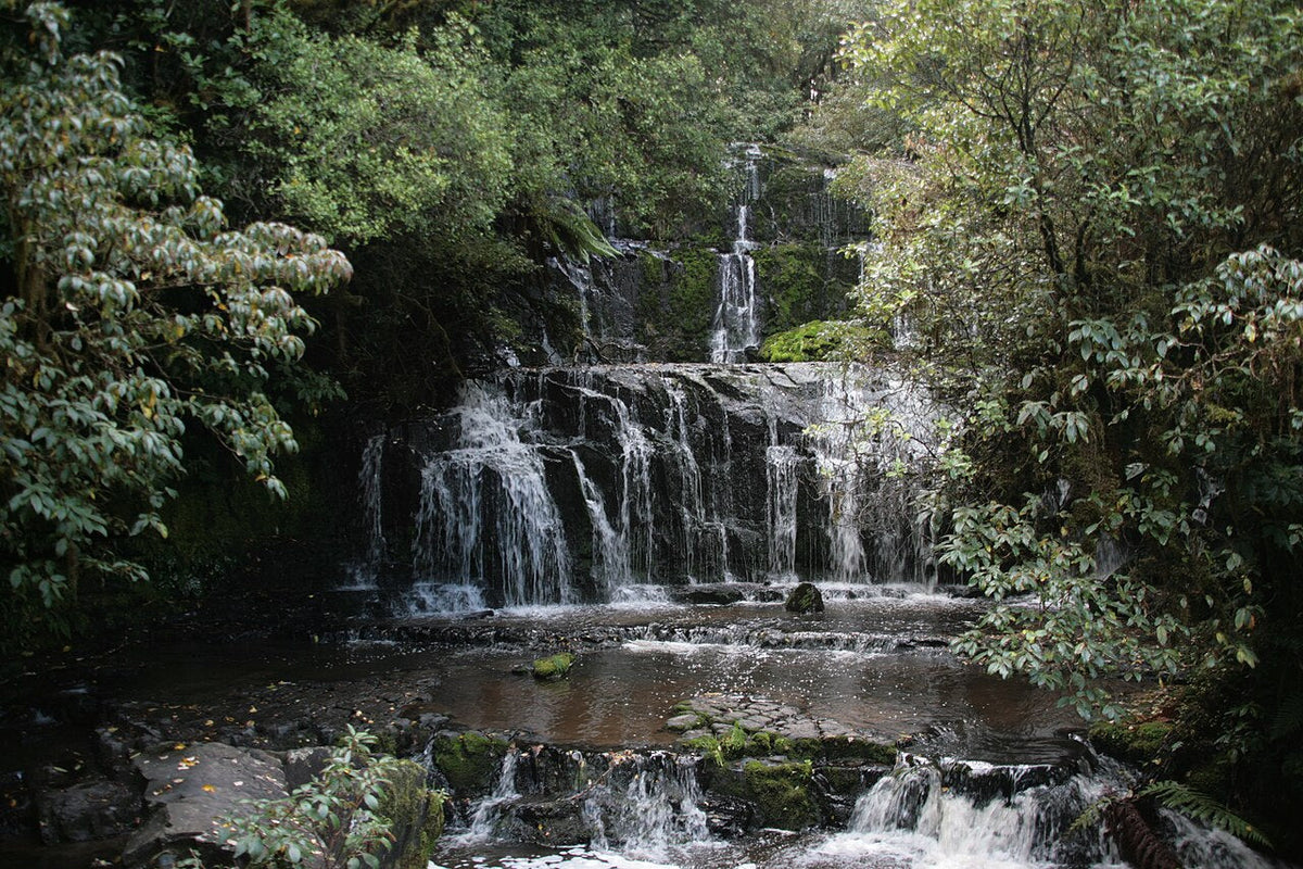 Pūrākaunui Falls cascading over three tiers in Catlins forest.