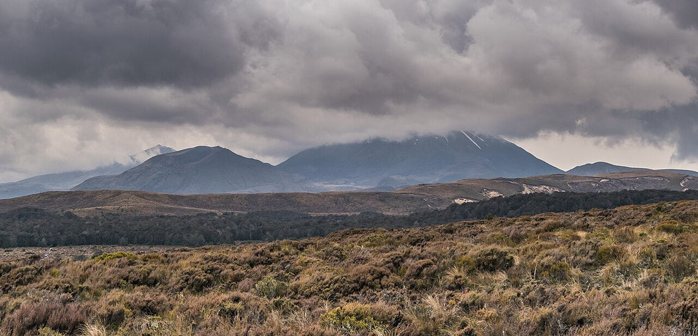 Archive landscape of Tongariro National Park, before the 2025 fires.