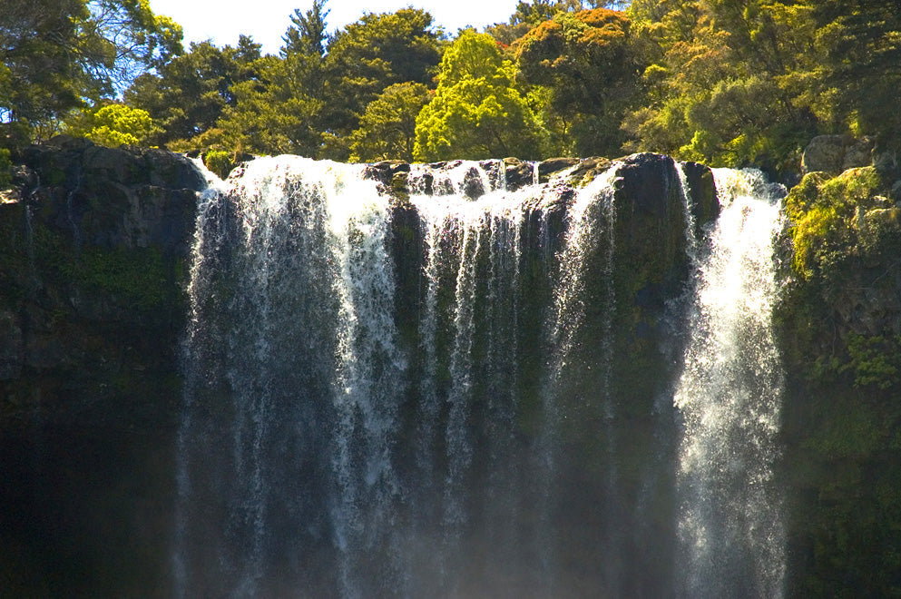Rainbow Falls cascading over a broad rock ledge near Kerikeri.