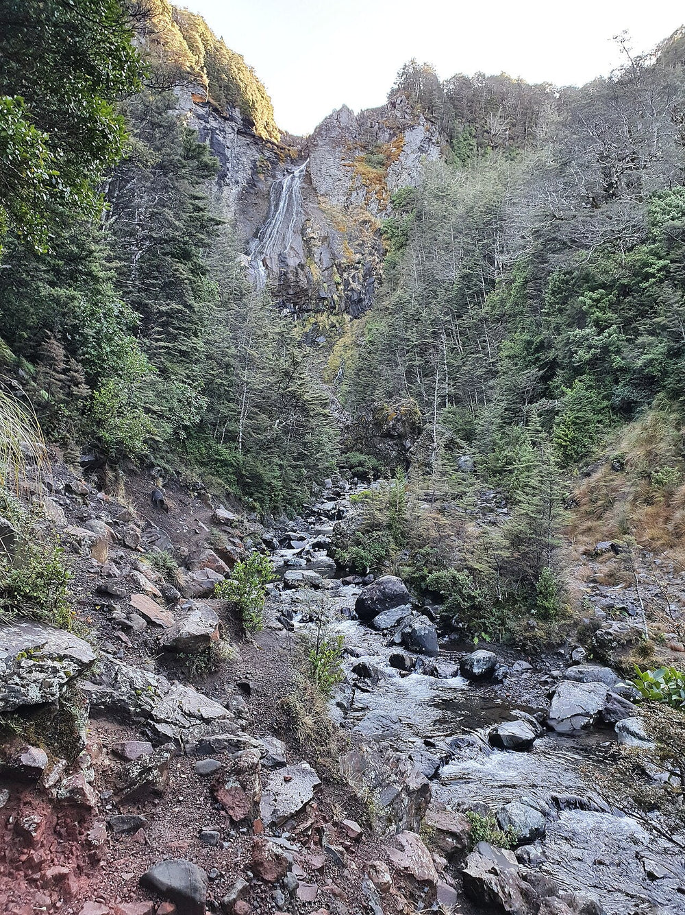 Waitonga Falls dropping between forested rock walls above Ohakune.