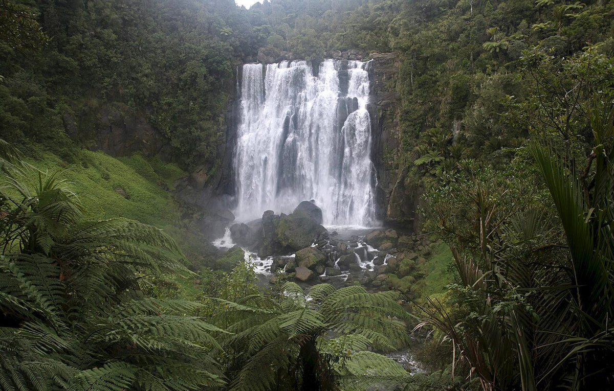 Marokopa Falls cascading over a broad rock face surrounded by native forest.