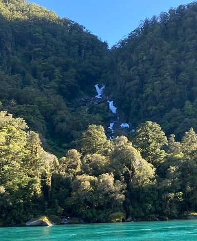 Roaring Billy Falls cascading over boulders beyond the Haast River.