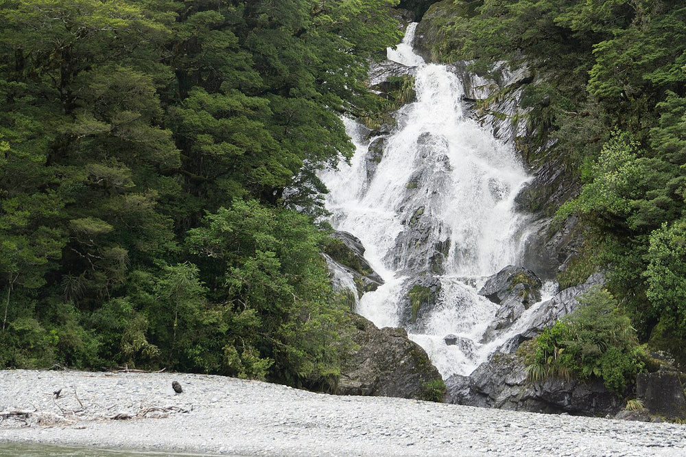 Fantail Falls spreading over a rock face beside the Haast River.