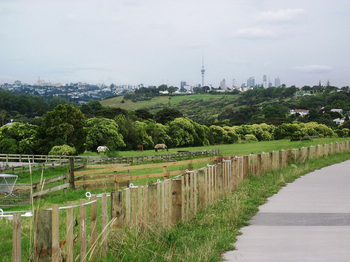 Te Ara ki Uta ki Tai shared path near Meadowbank Pony Club, with Auckland in the background.
