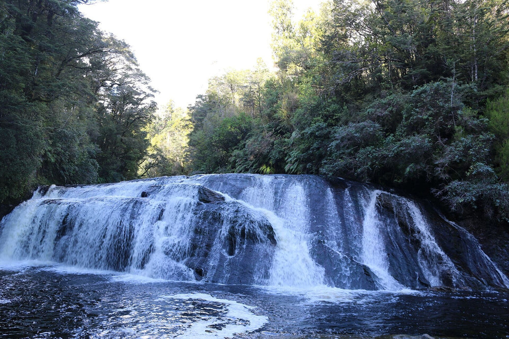 Coal Creek Falls spilling over a broad rock ledge near Runanga, New Zealand.