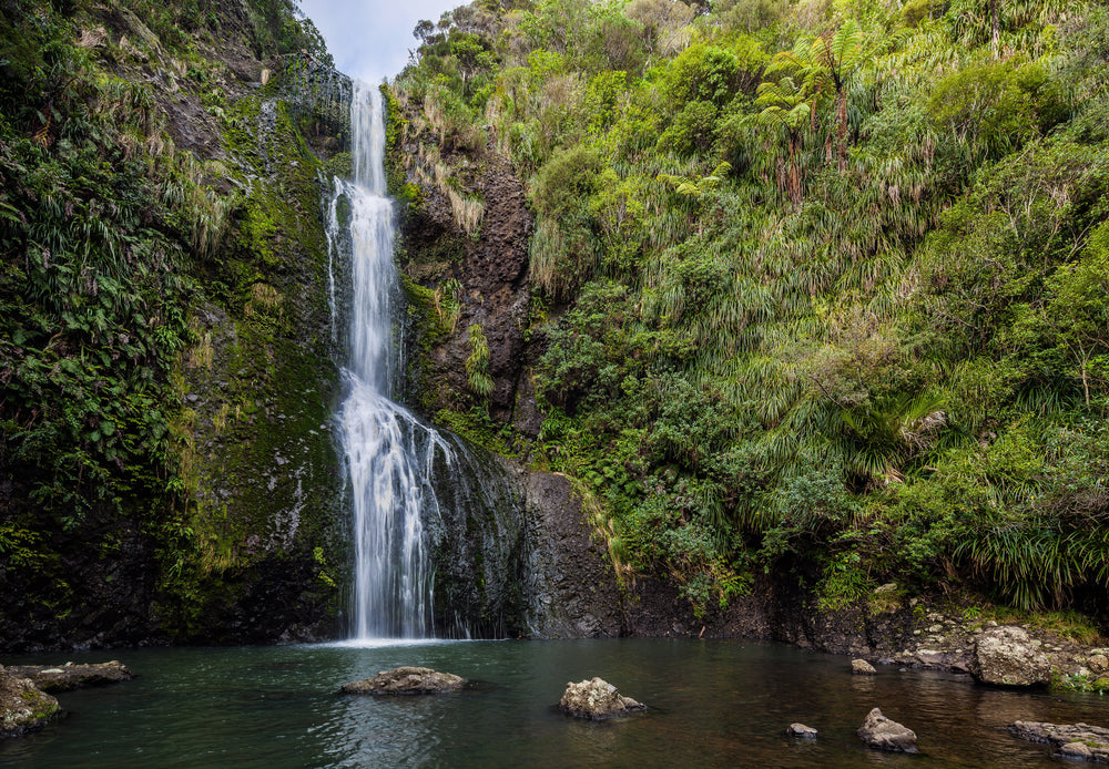 Kitekite Falls descending through green bush into the pool below.