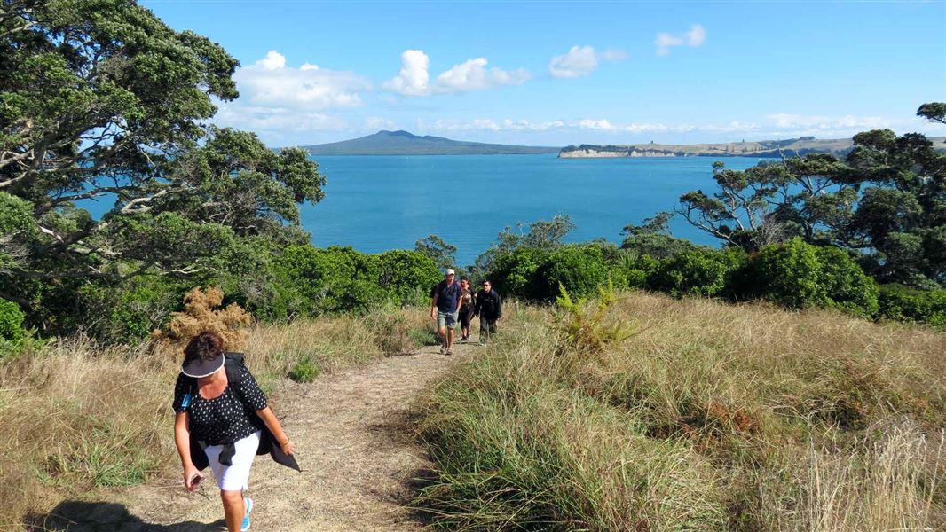 Walkers on a grass track above the sea on Motuihe Island.