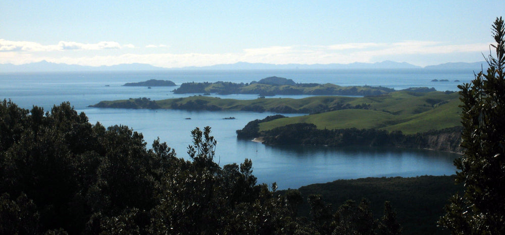 View from near Rangitoto summit across Motutapu, Rakino and the Hauraki Gulf.