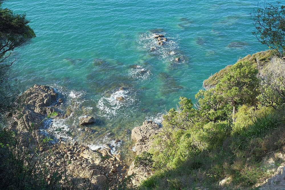 Rocky coast and water viewed from the Abel Tasman Coast Track