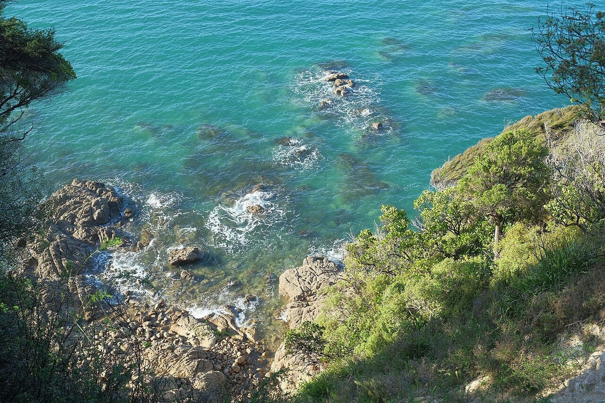 Rocky coast and water viewed from the Abel Tasman Coast Track