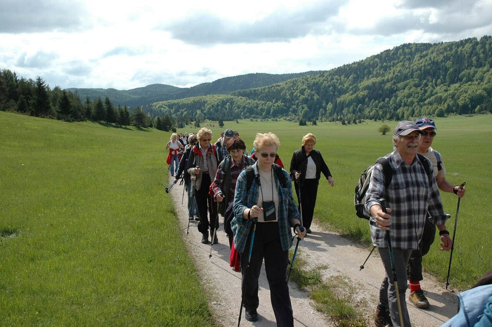 Walkers using trekking poles on an outdoor path