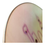 Public Jibgurl Snowboard - 147 cm - Board Only - actual item photo 7