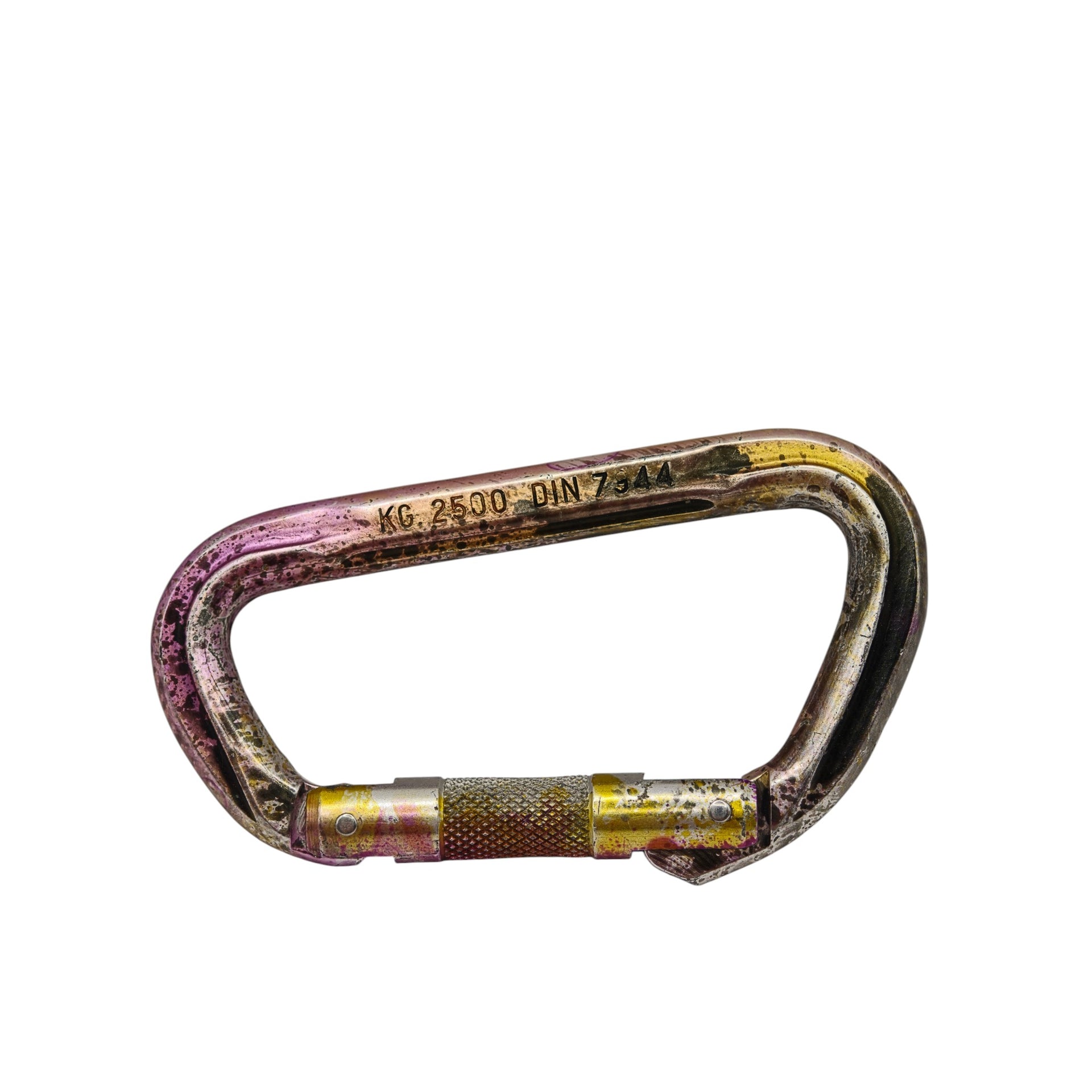 Multi-Colour Camp Italy Screwgate Carabiner