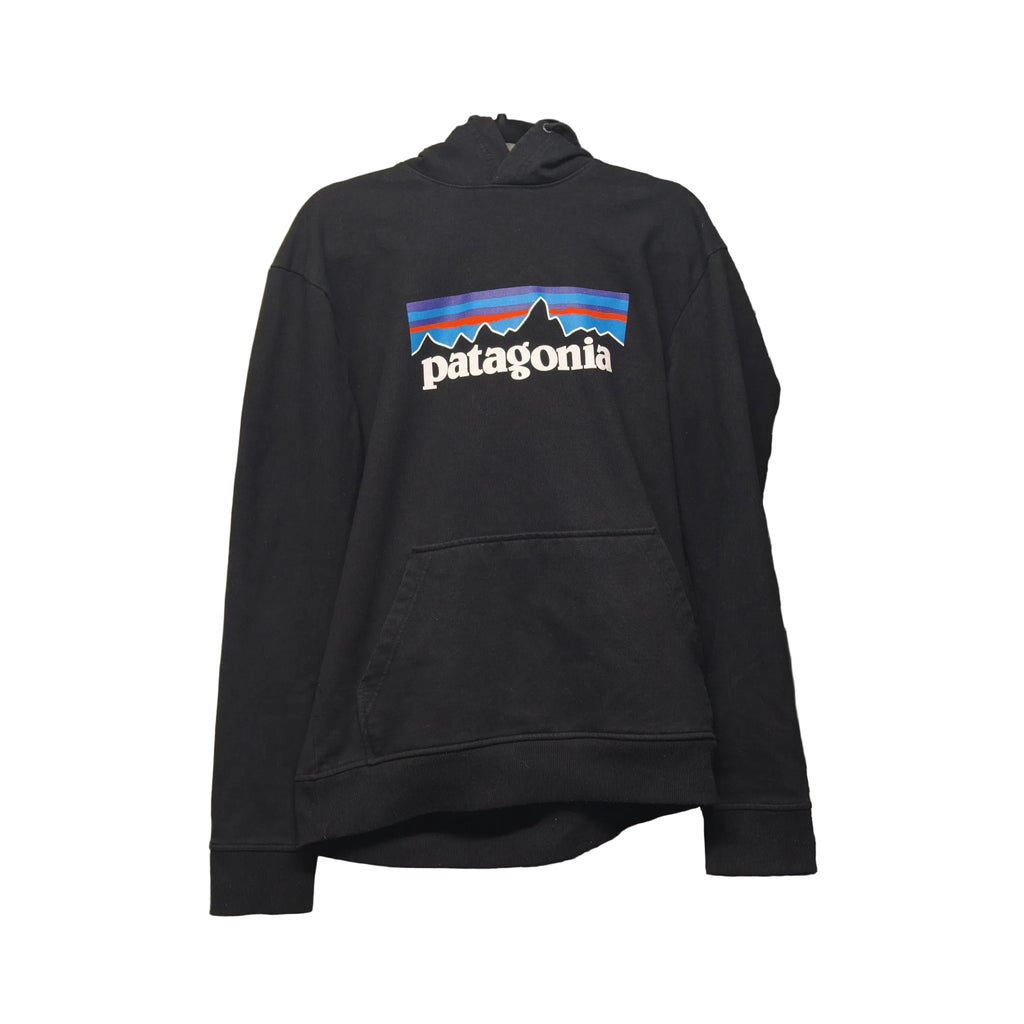 Patagonia Uprisal Logo Hoodie – S – photo 1