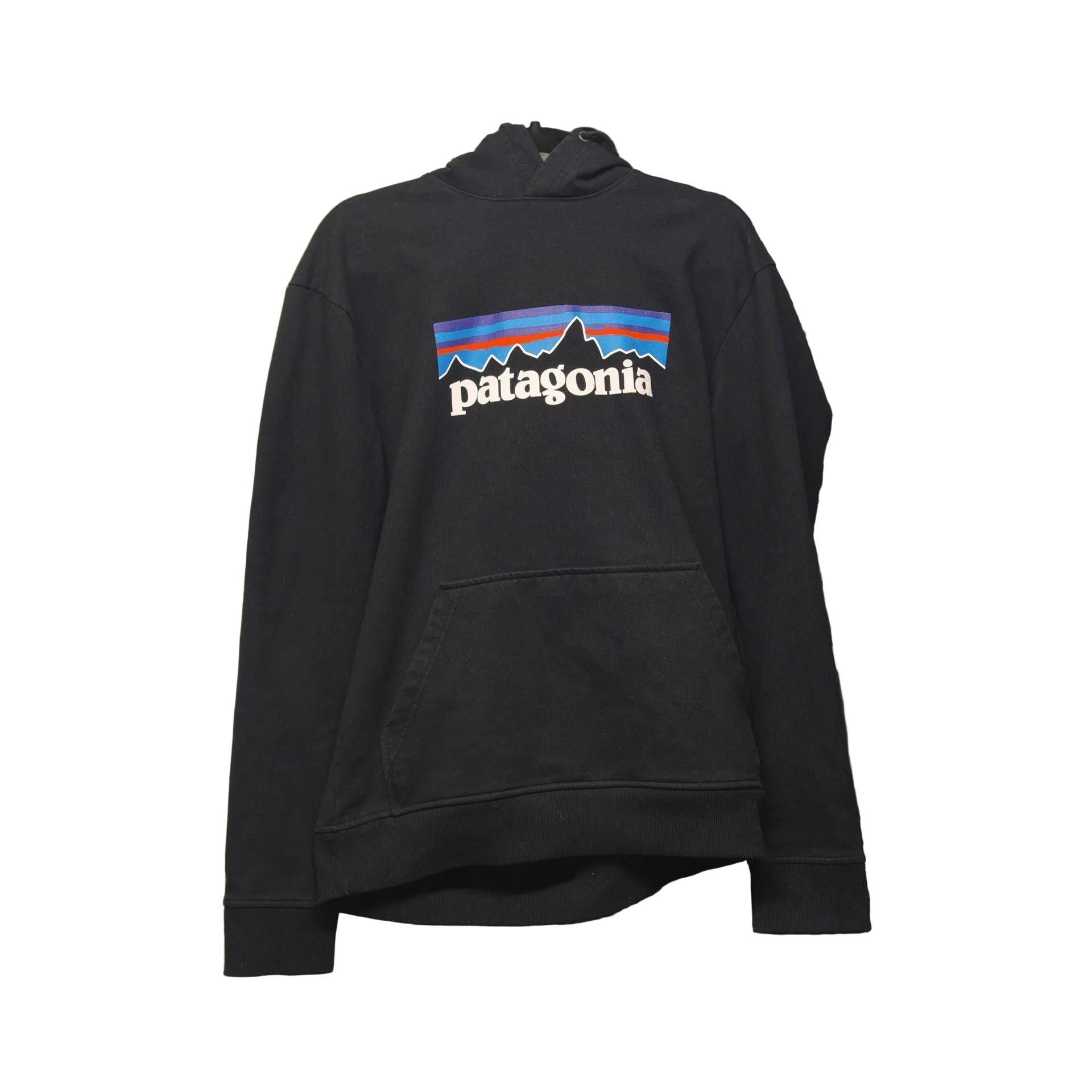 Patagonia Uprisal Logo Hoodie – S – photo 1
