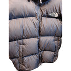The North Face 700-Fill Down Jacket - Men's XXL - product detail