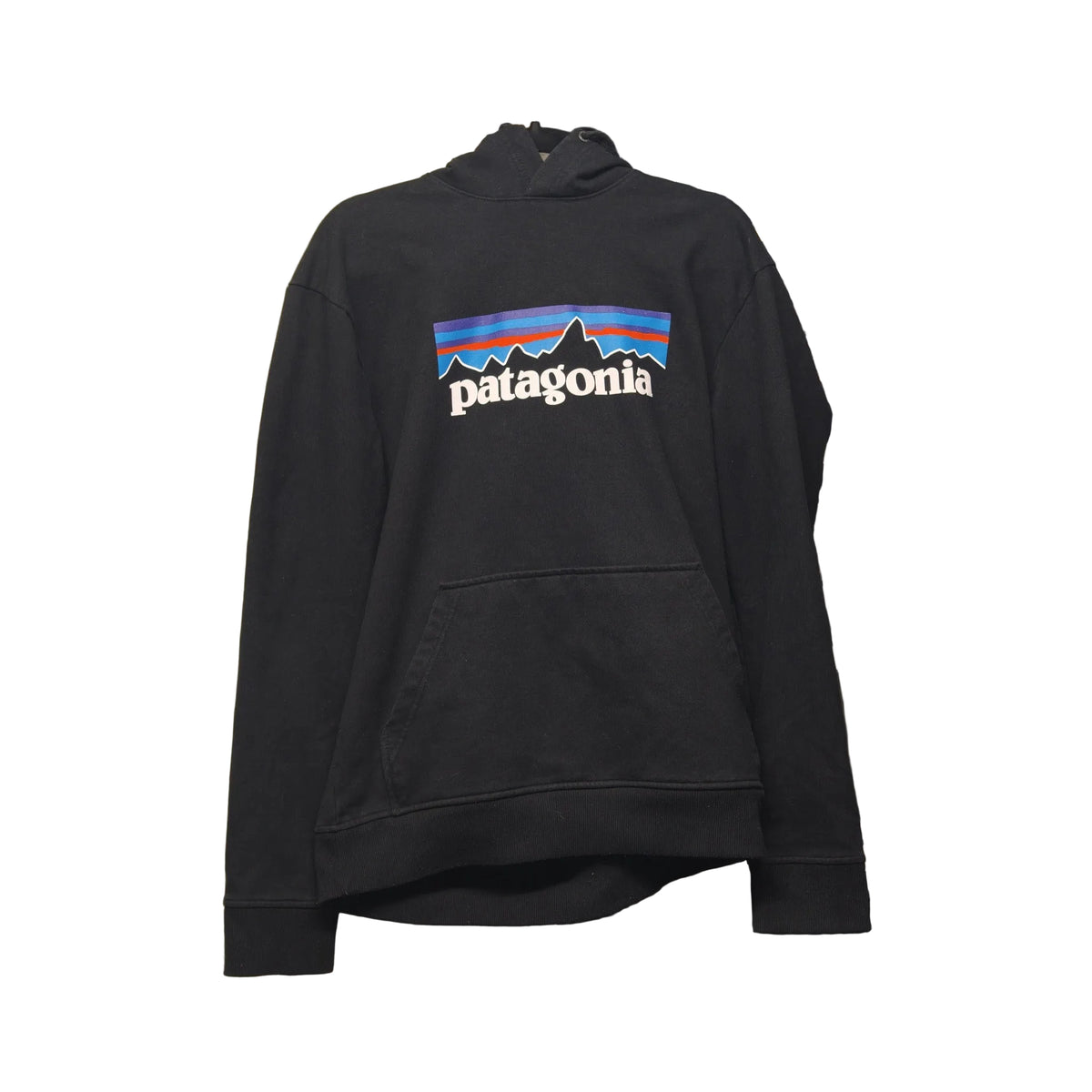 Front view of Patagonia Uprisal Logo Hoodie — S