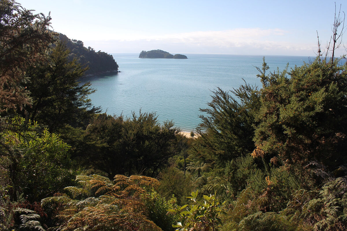 Coastal forest and sea views on the Abel Tasman Coast Track.